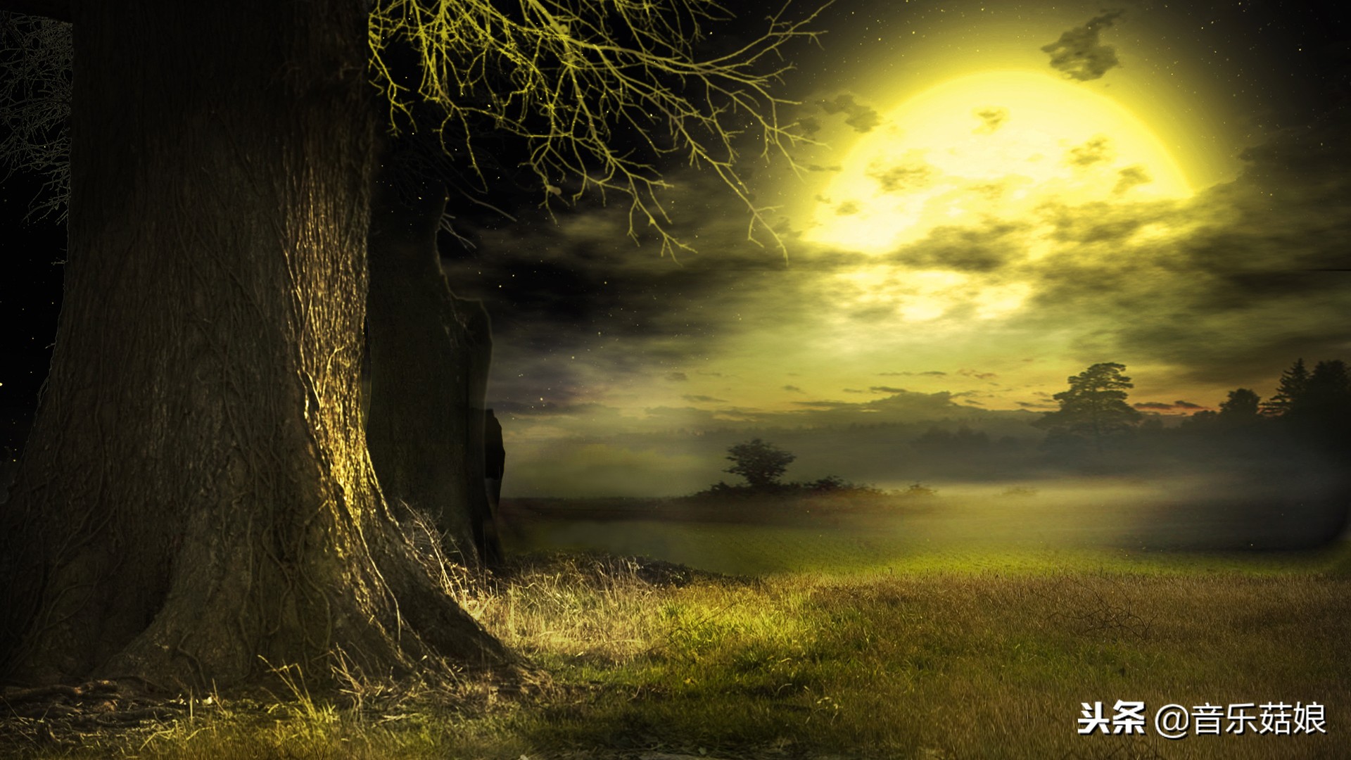 超好听轻音乐100首全集,超好听的7首轻音乐