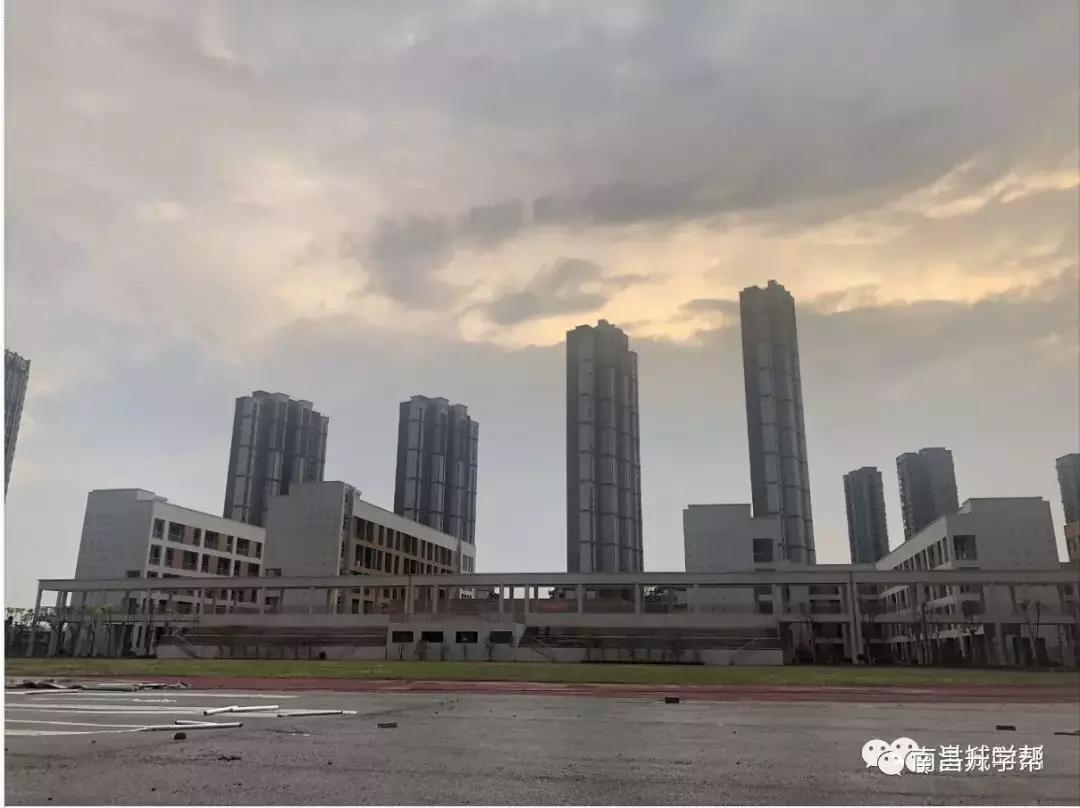 松柏学校朝阳校区图片,松柏朝阳校区招生范围