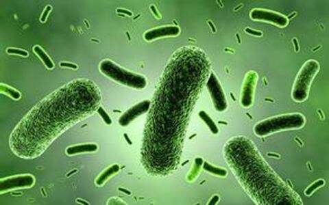 疫情期间可以买退烧药吗,现在疫情期间宝宝发烧了怎么办