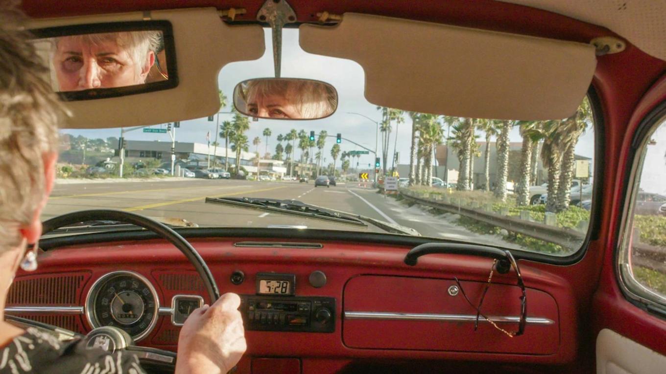 甲壳虫安妮视频,甲壳虫安妮后续