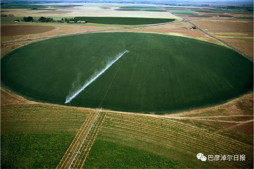 什么是圣牧有机奶,圣牧有机奶