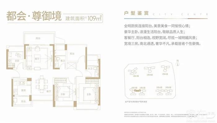 鍚堟鏂规床瀵规瘮涔愬煄,榫欏矖鍚堟鏂规床pk涔愬煄