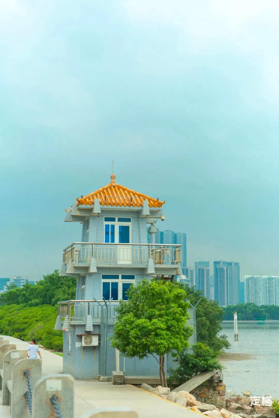 深圳周末打卡地点排行榜,深圳秋季打卡攻略