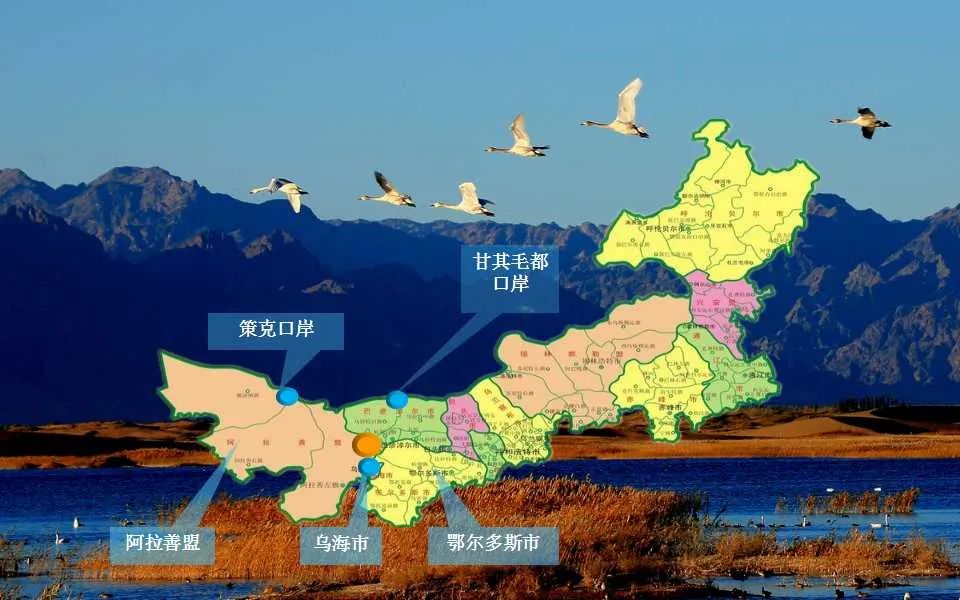 「磴口文化」河套阴山之情韵