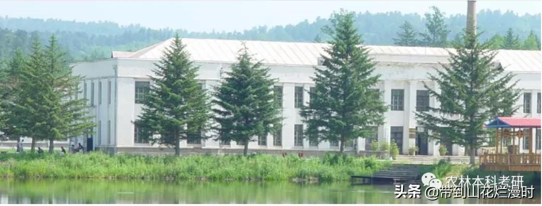 东北林业大学保研率高的专业,考研东北林业大学林业专业好考吗