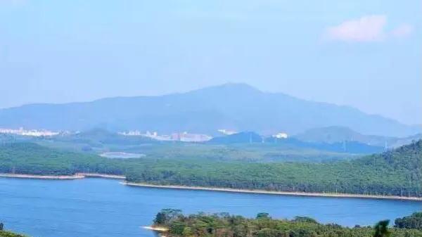 深圳免费公园适合儿童,深圳免费公园哪里最好啊