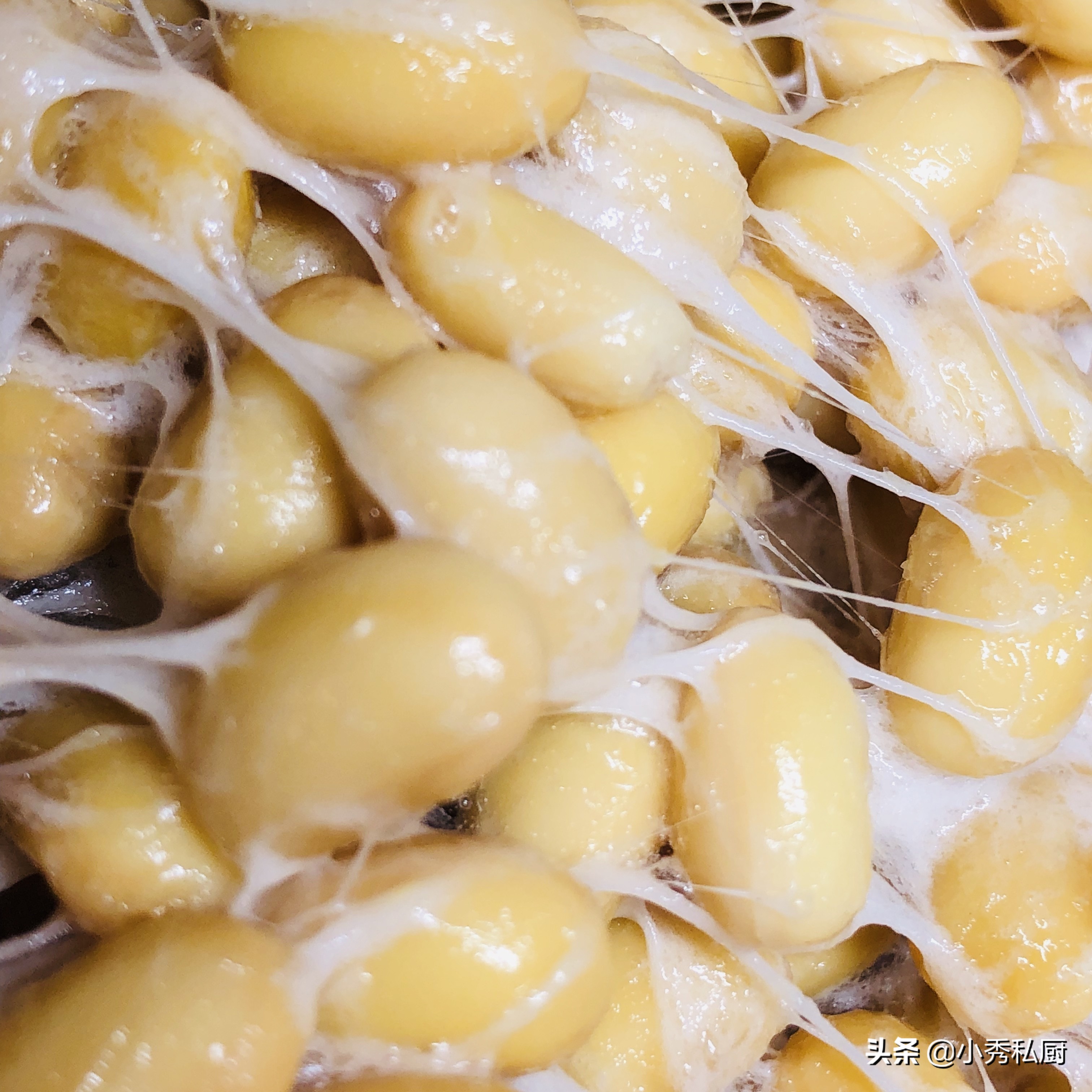 酸奶机纳豆制作方法,纳豆激酶如何做纳豆