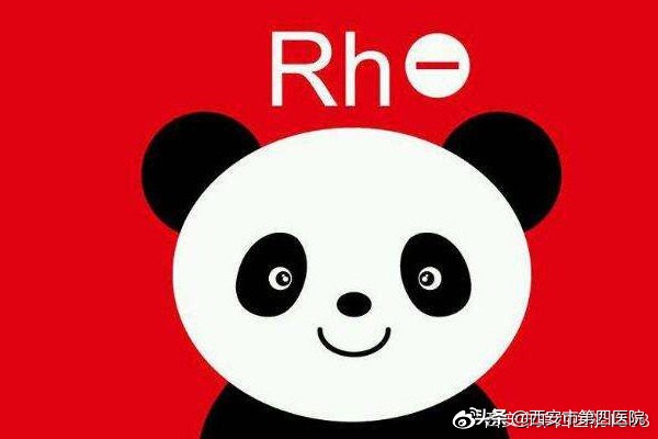 科学家发现熊猫曾经是什么,专家科普熊猫