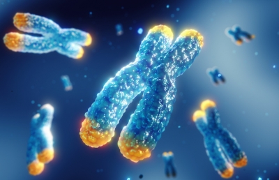 怎样保护细胞才能更健康,4个方法让你的生活越来越有价值