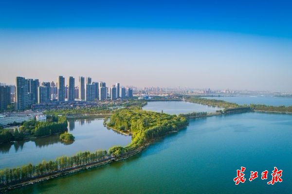 一家三代人志愿者,一家人都是志愿者