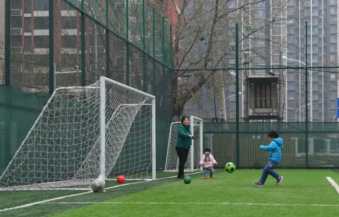 海淀区对外开放的体育场,北京海淀新开放的公园