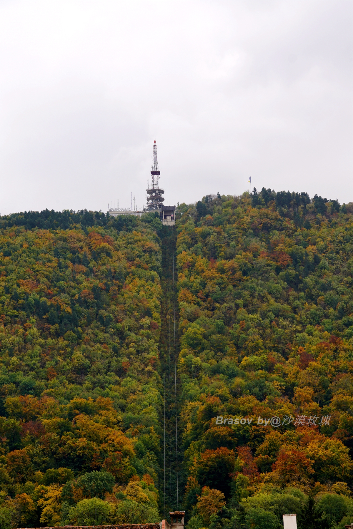 罗马帝国后裔,罗马帝国的后裔