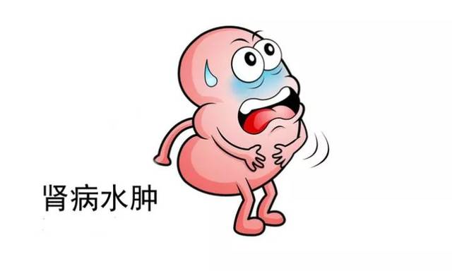 水肿的常见原因与发病机制,哪些疾病是眼睑水肿常见的原因