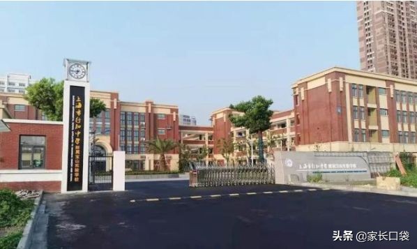 上海市十大潜力小学,2020上海市新晋最有潜力十大小学