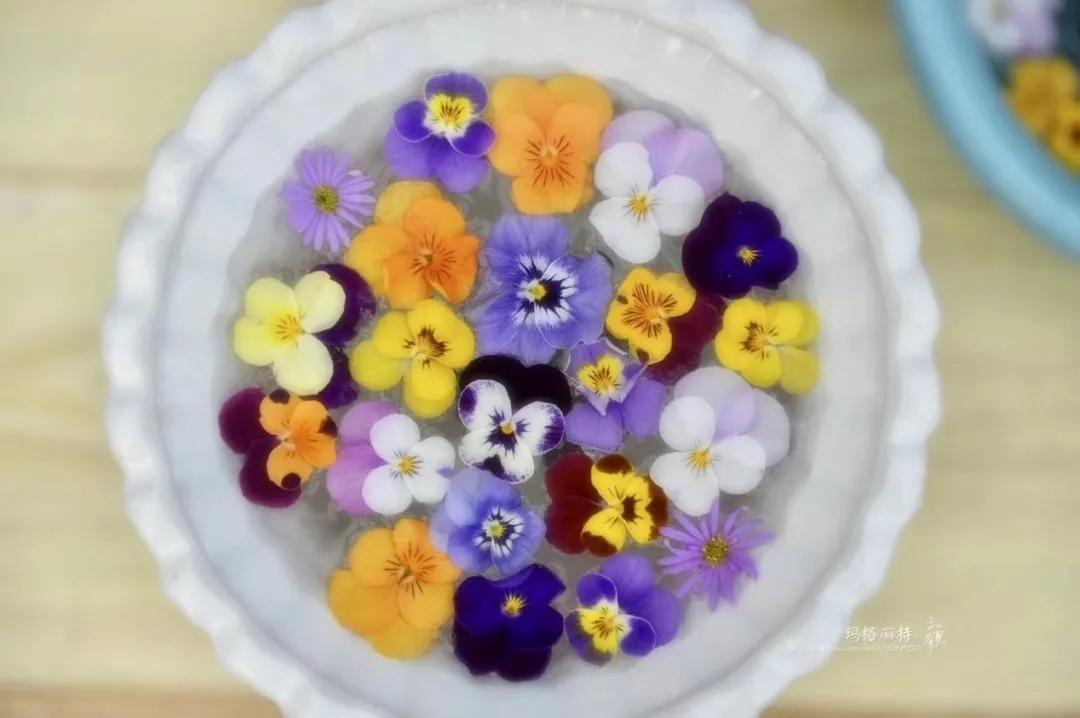 寒潮来袭，你的阳台也能开出这样的“水晶花”