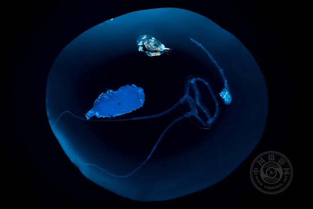 2022索尼世界摄影大赛自然类 (索尼世界摄影大赛自然组作品精选)