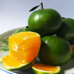 真怀念啊用英语怎么写,真正的酸酸甜甜的橘子