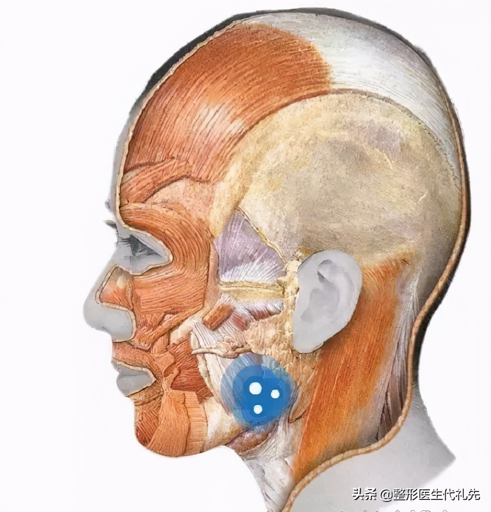 快来看看你的脸为什么会越变越宽,哪些可能会影响脸越来越宽