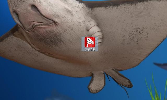 kindle看书神器让你的追书更给力,kindle阅读国际版app