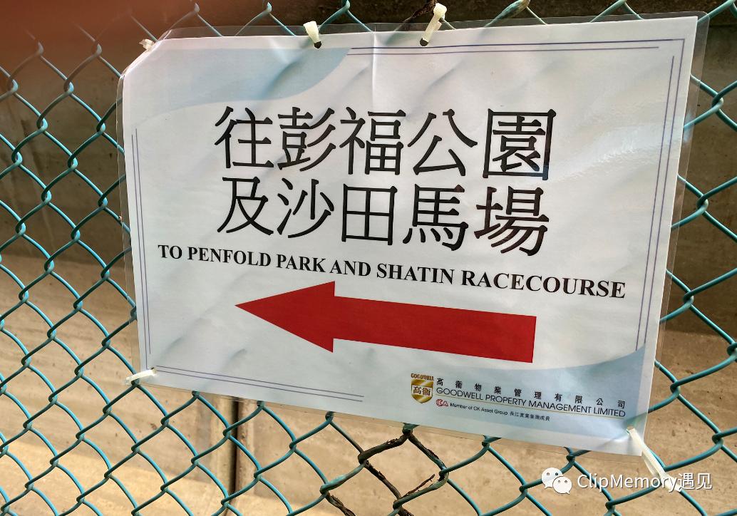 边走边拍|疫情中的香港黄大仙沙田马场