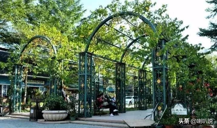 深圳大鹏自驾游十大免费景点推荐,深圳十大免费景点有哪些