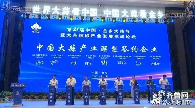 区县Feng观察|“一业活、百业兴”，“蒜都”金乡迎“蝶变”