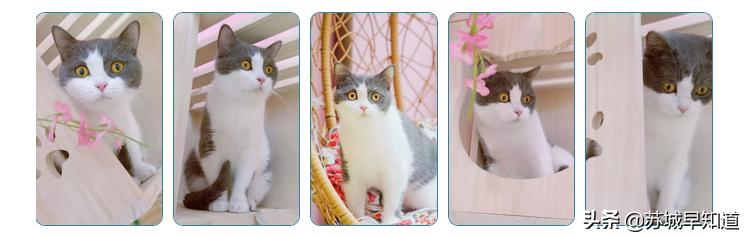 苏州市平江区万达广场,苏州平江万达广场