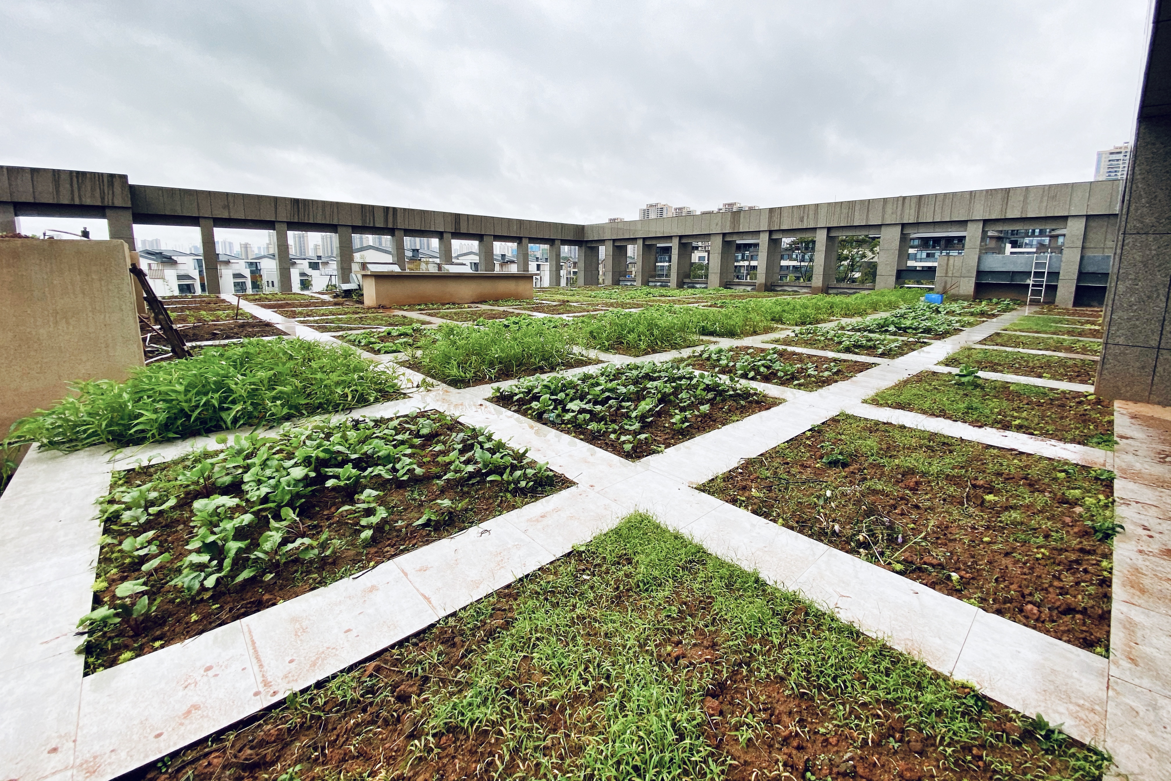 全国各地争抢名人故里成风，现在轮到炎帝了，结果如何？