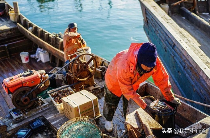 鏋告潪宀涗笢鏂瑰皬甯岃厞,宓婃硹宀涗笢鏂瑰皬甯岃厞