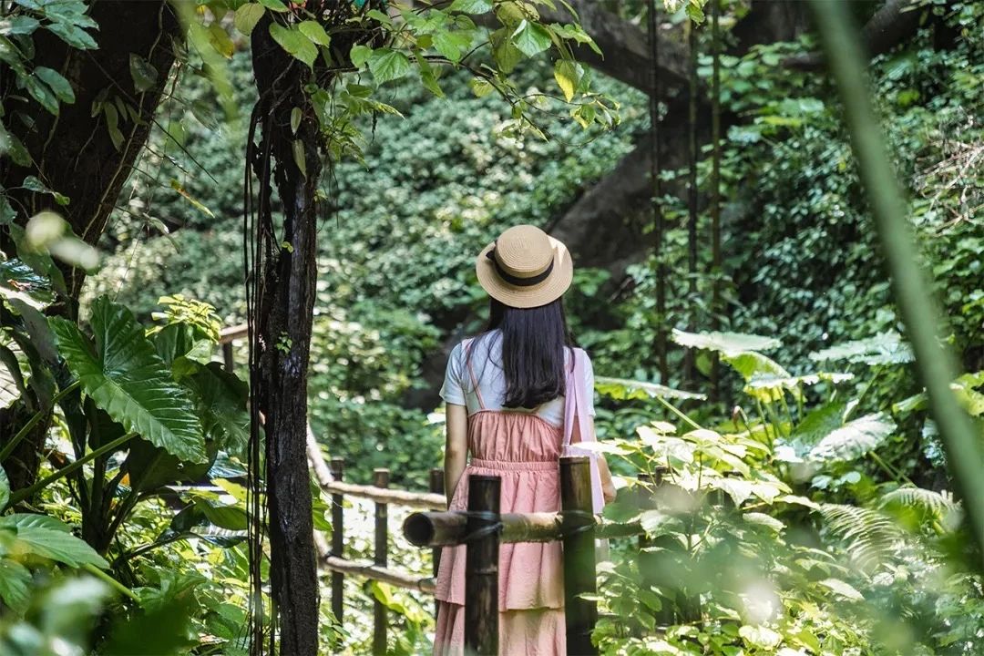 深圳旅游好去处推荐,深圳宝安区周末休闲浪漫好去处