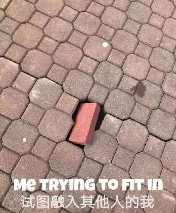 95后老师与70后家长聊天记录,95后女教师与70后家长尬聊