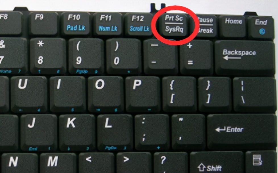 电脑截图怎么截取长图快捷键,电脑网页截图怎么截长图