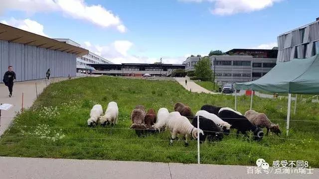 瑞士原来如此美丽,瑞士的风景是不是真的很美