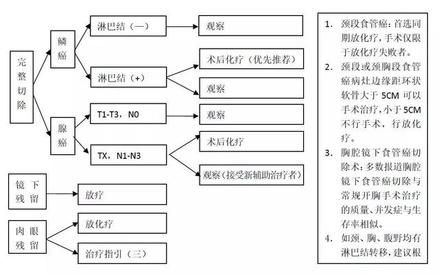 食管癌诊疗规范（2018年版）