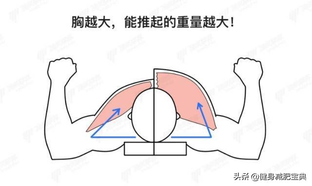 增肌和力量举训练的区别,力量举训练可以把肌肉练大吗