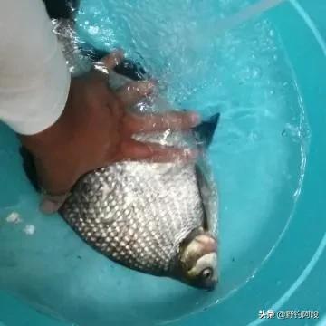 7.2钓鱼新手百元鱼竿推荐 (网上的百元7.2鱼竿靠谱吗)