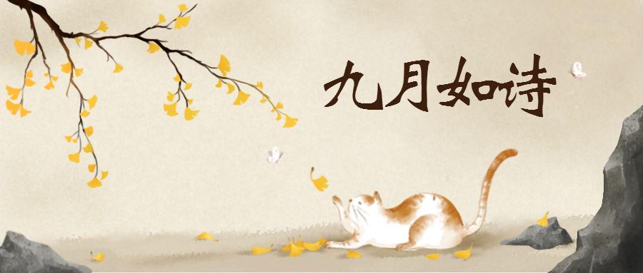 亿租亿评,医疗器械融资租赁案例分析