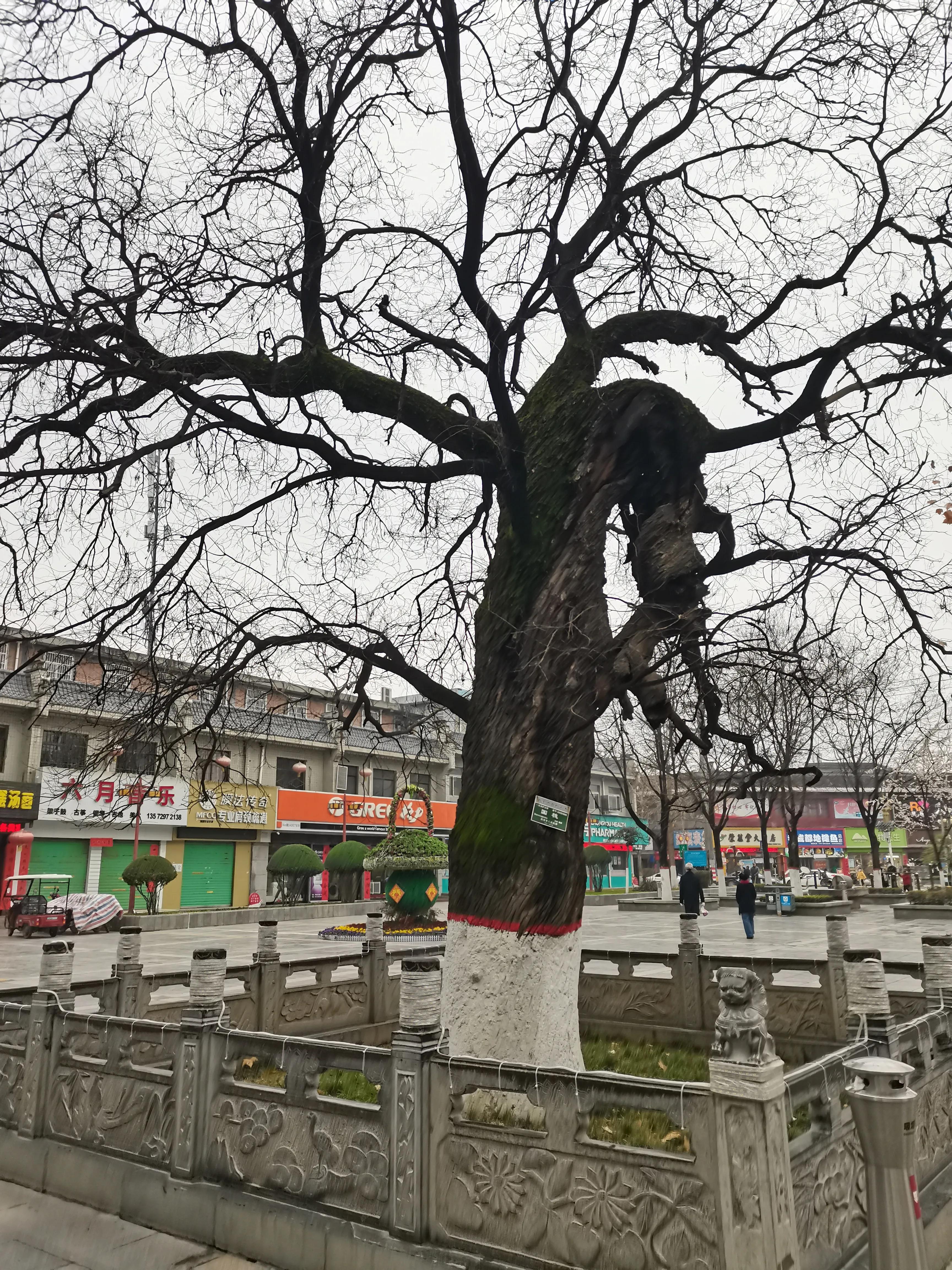 走进西安名胜古迹感受,户县名不虚传