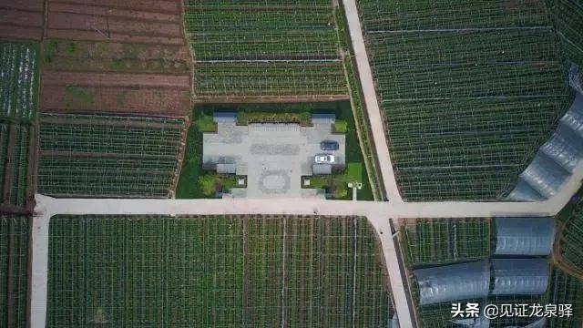 回顾龙泉驿百年变迁简报,龙泉驿区发展展望