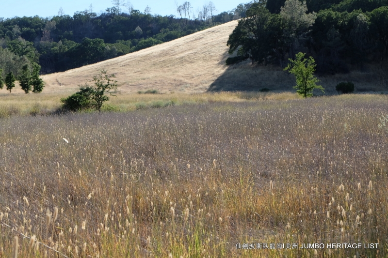 第3045回：人生一世草生一春，来如风雨去似微尘