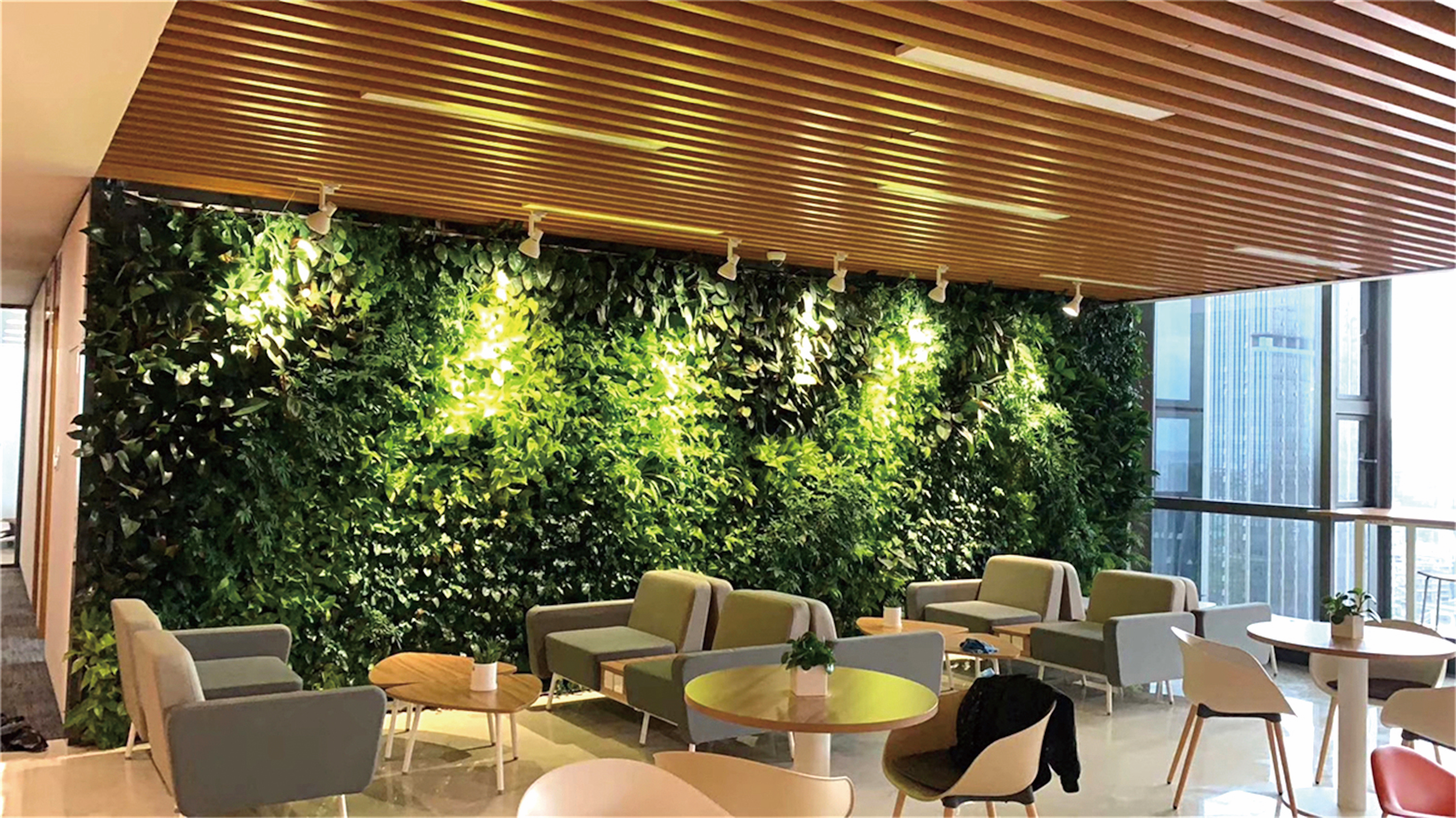 室内设计师常用软装绿植,软装师最爱的绿植