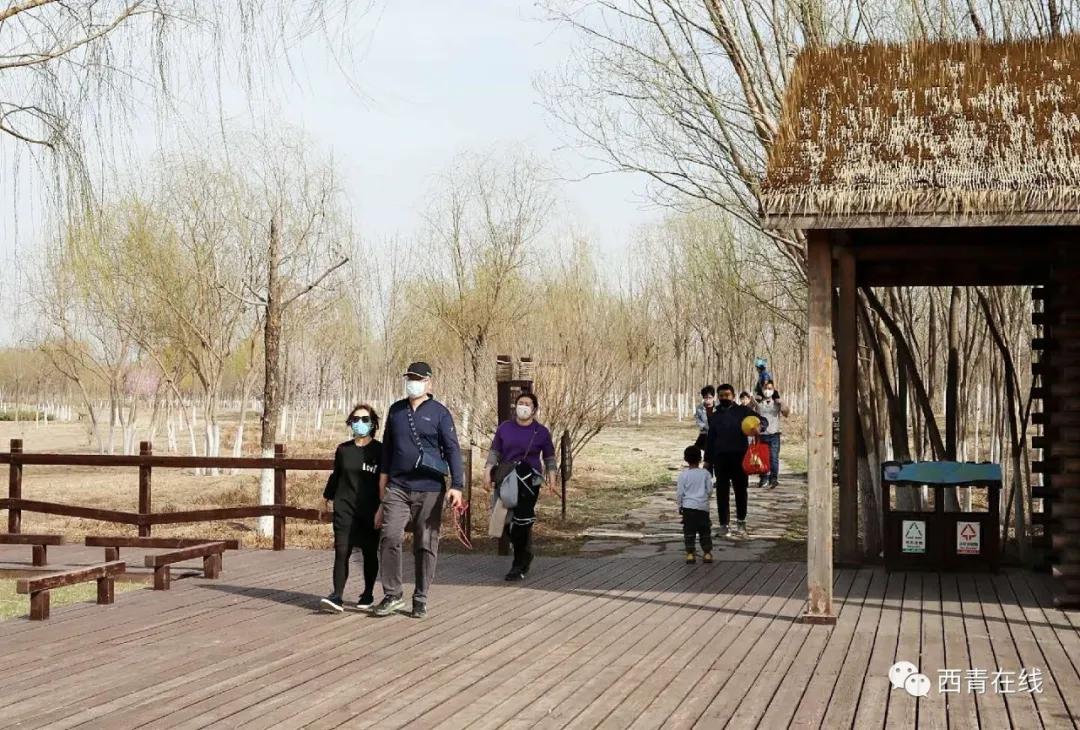 天津都有哪些公园随时免费开放,天津2022年四月开放的公园