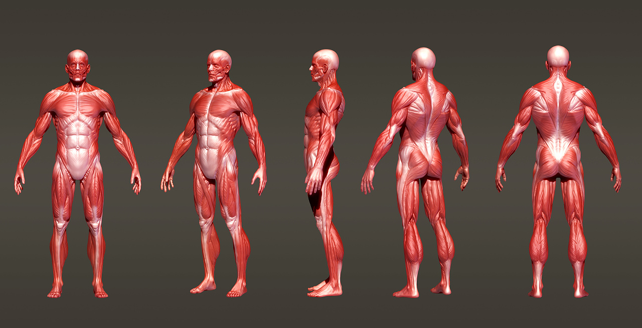 人死火化是浪费资源？动物死了进入生态循环，人类却打破自然规律