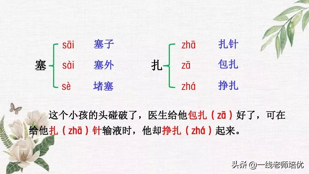 语文五年级上册第17课松鼠资料,部编版五年级上册第17课松鼠课件
