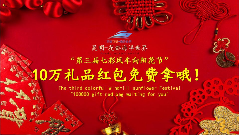 海花岛海洋乐园萌宠表演场,海花岛海洋乐园萌宠剧场