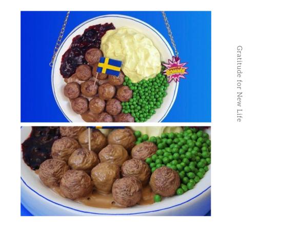 奇葩新款包,奇葩背的包