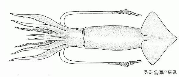 硬核科普全部,硬核科普大全视频