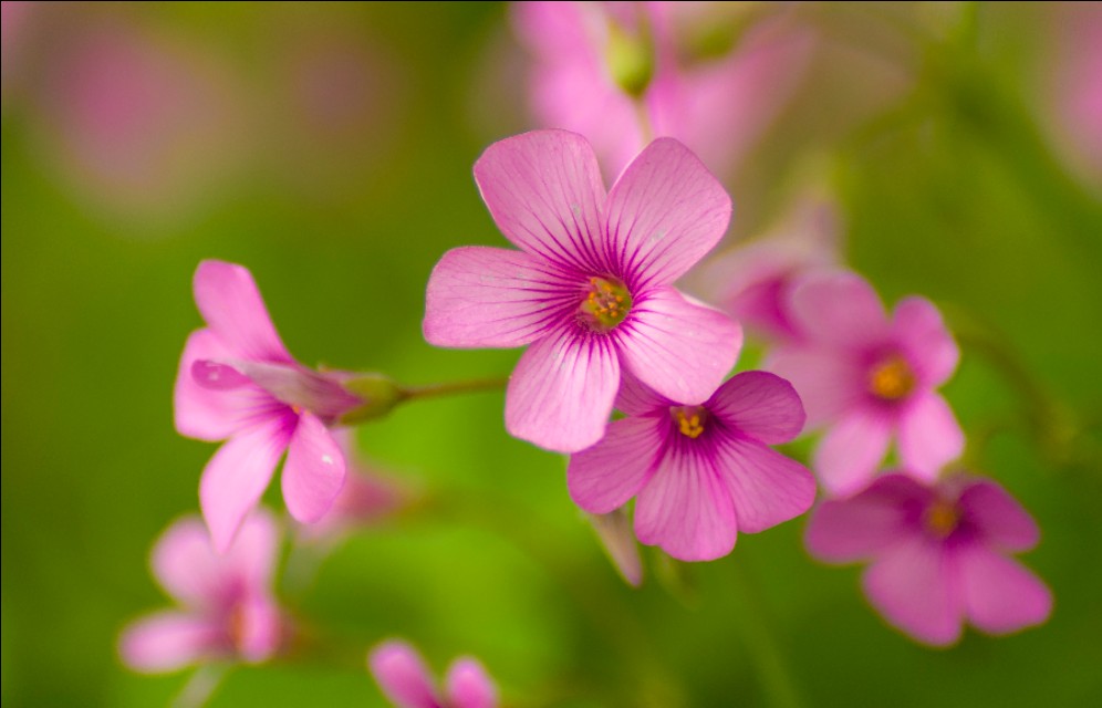 宾得k50配什么镜头最好,宾得k50光圈门解决办法