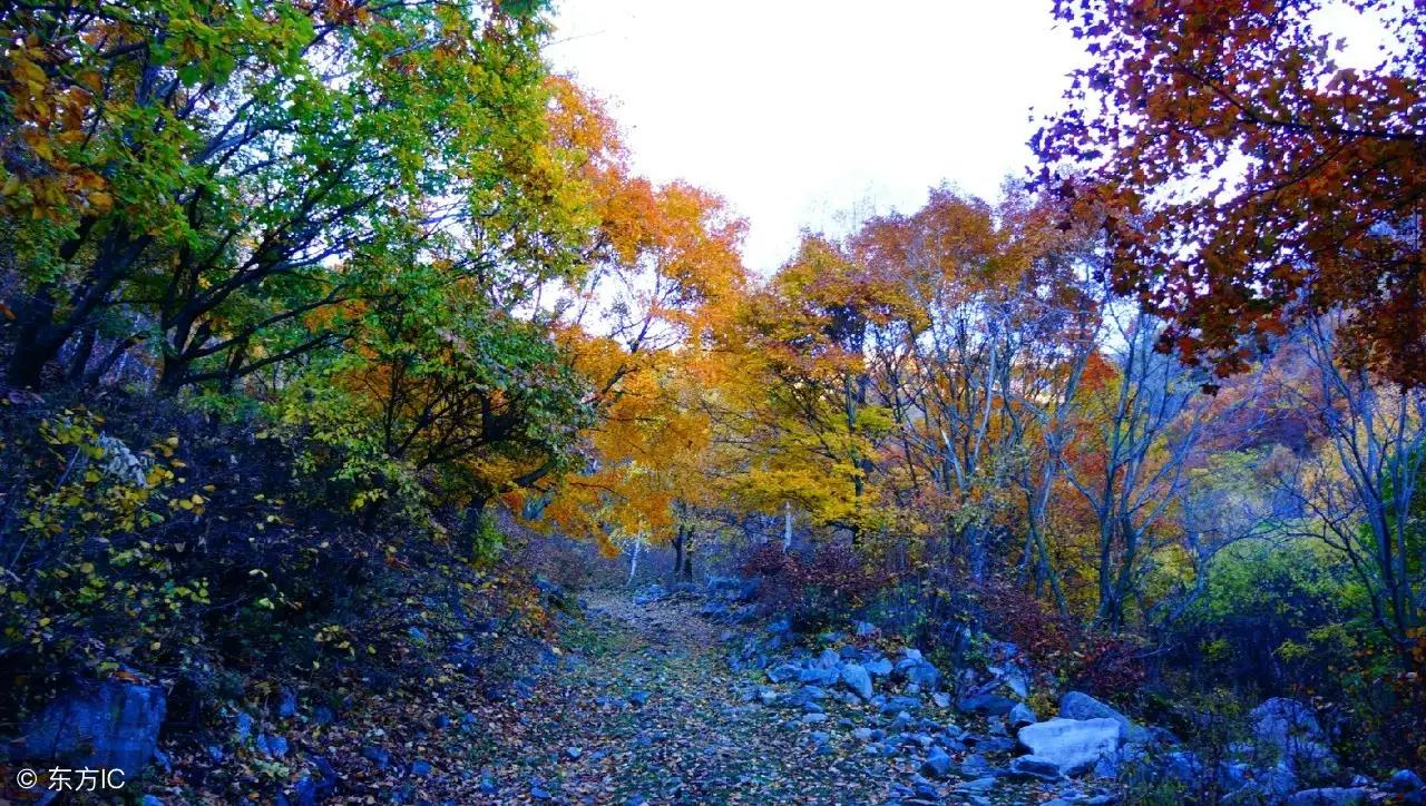 时光匆匆山河已是秋,时光如水山河已秋