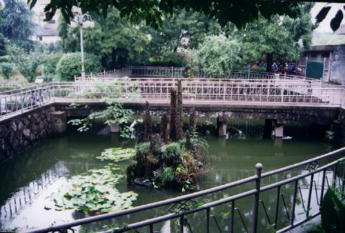 健康路4号难忘义乌中学老校区回眸搬迁的最后一幕